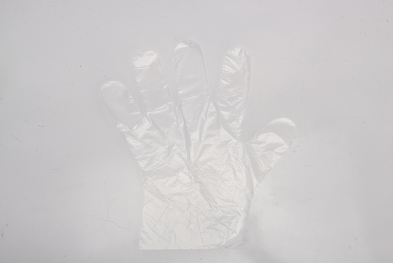 Persoonlijke grootte wegwerphandschoenen van kunststof voor de keuken Voedselbehandeling Winter essentieel