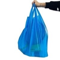 Logo Print PET PETAL PE Custom Plastic Bag met Flexiloop Handle en Custom Print