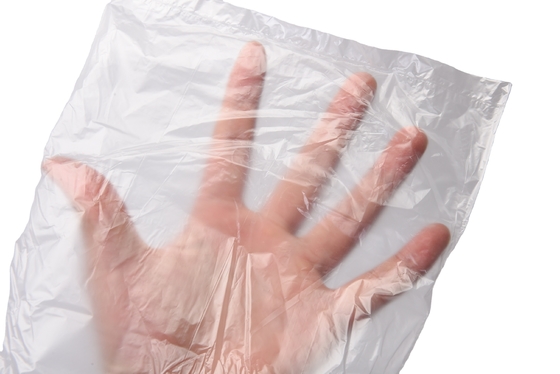 Certificaat OK Compost Plastic Flat Food Preservation Fresh Vegetable Packaging Bag